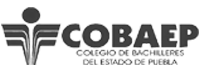 Clients that endorse us: COBAEP