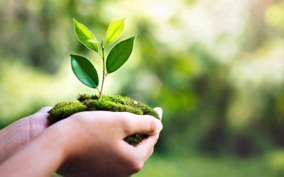 Dexway Magazin Deutsch B1 – Ausgabe 1